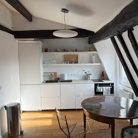 Le Marais Place Des Vosges アパート