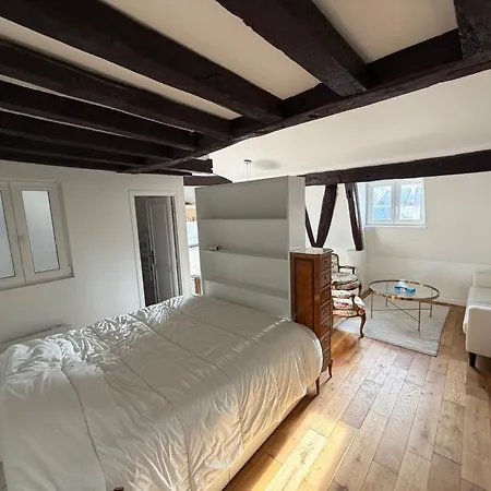 Le Marais Place Des Vosges パリ