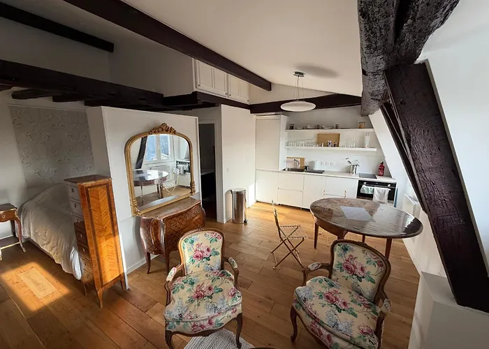 アパート Le Marais Place Des Vosges パリ