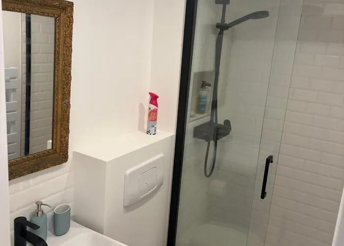 Le Marais Place Des Vosges アパート