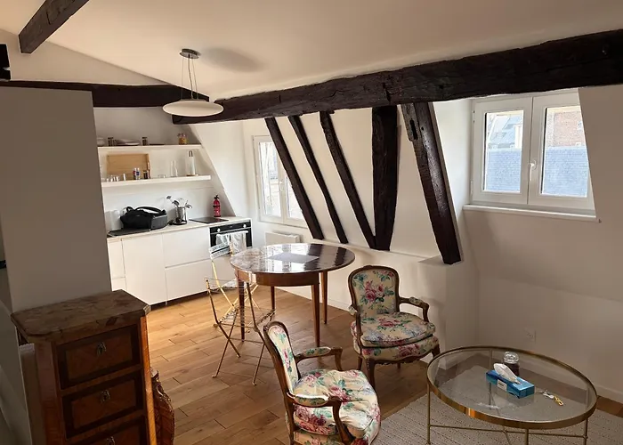 Le Marais Place Des Vosges * パリ