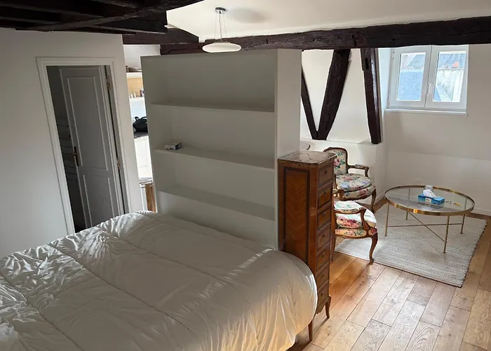 Le Marais Place Des Vosges アパート *